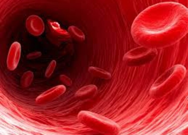 16/04 - PREVENZIONE DELL'ANEMIA: UN CONTROLLO SEMPLICE PER UNA DIAGNOSI PRECOCE